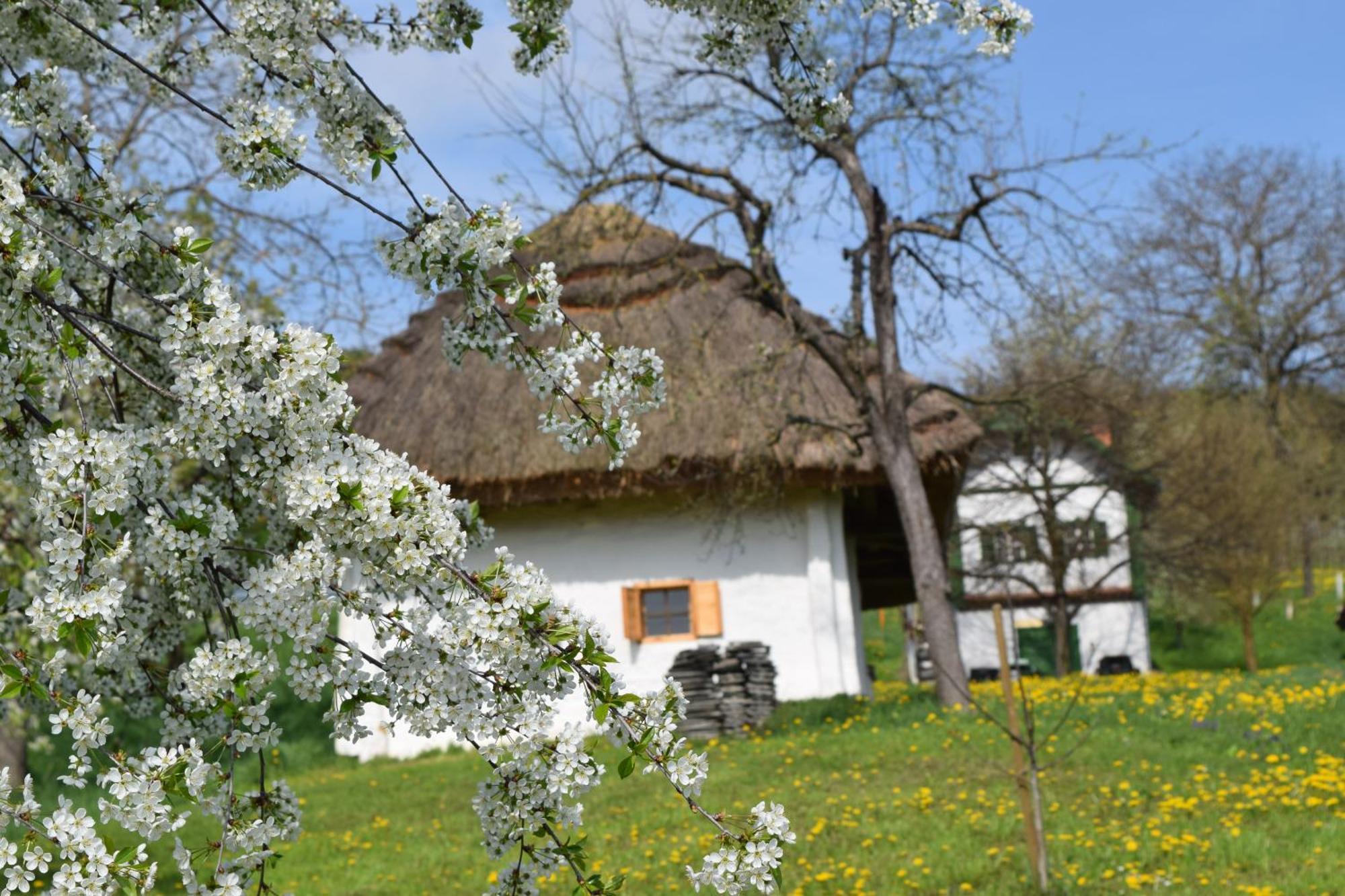Genussgasthof & Hotel Beim Krutzler Heiligenbrunn Eksteriør billede